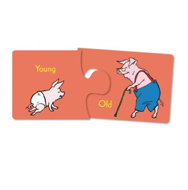 eeBoo RV Opposites Puzzle Pairs - Image 3