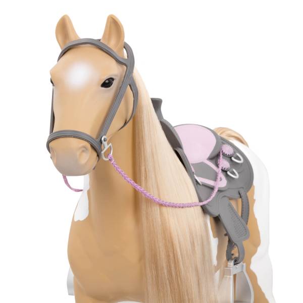Palomino - Image 4