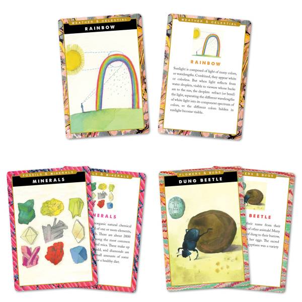 eeboo Earth Science Flash Cards - Image 2