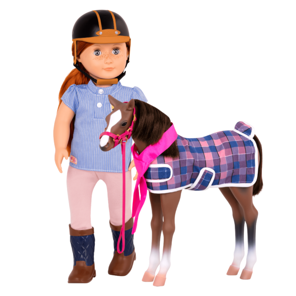 Quarter Horse Foal - Image 3