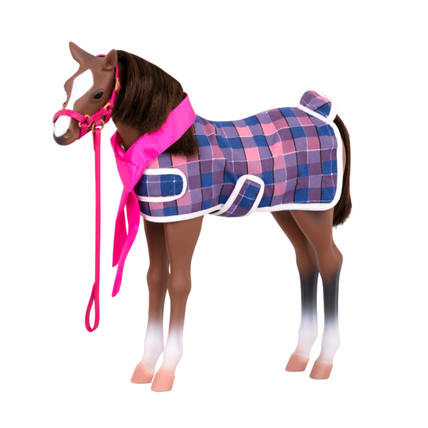 Quarter Horse Foal - Image 5