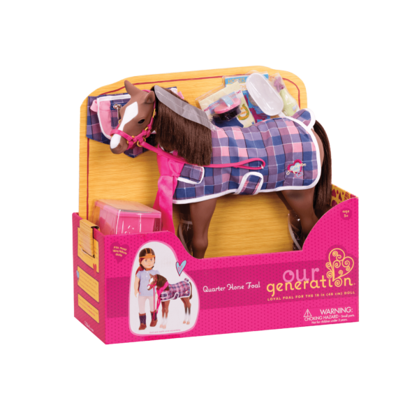 Quarter Horse Foal - Image 6