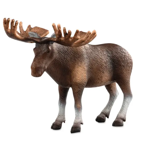 Terra - Moose - Image 2