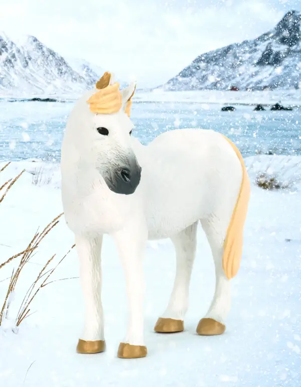 Terra - Icelandic - Image 3