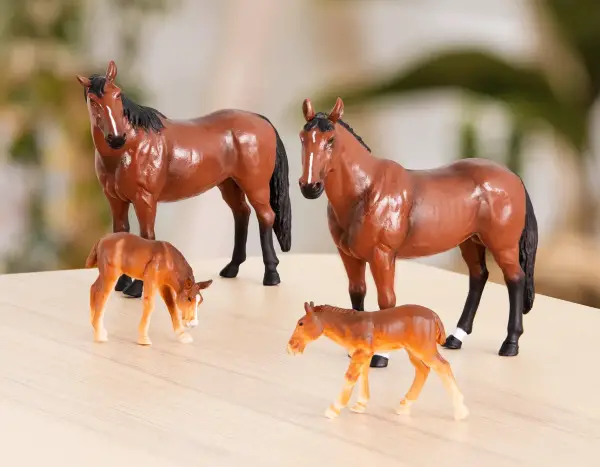 QUARTER HORSE FAMILY - Image 2