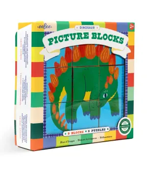 Dinosaur Picture Blocks