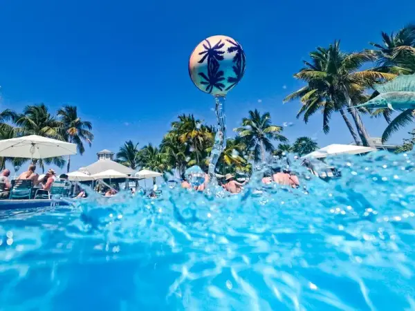 WABOBA Tropical Kahuna Ball - Image 10